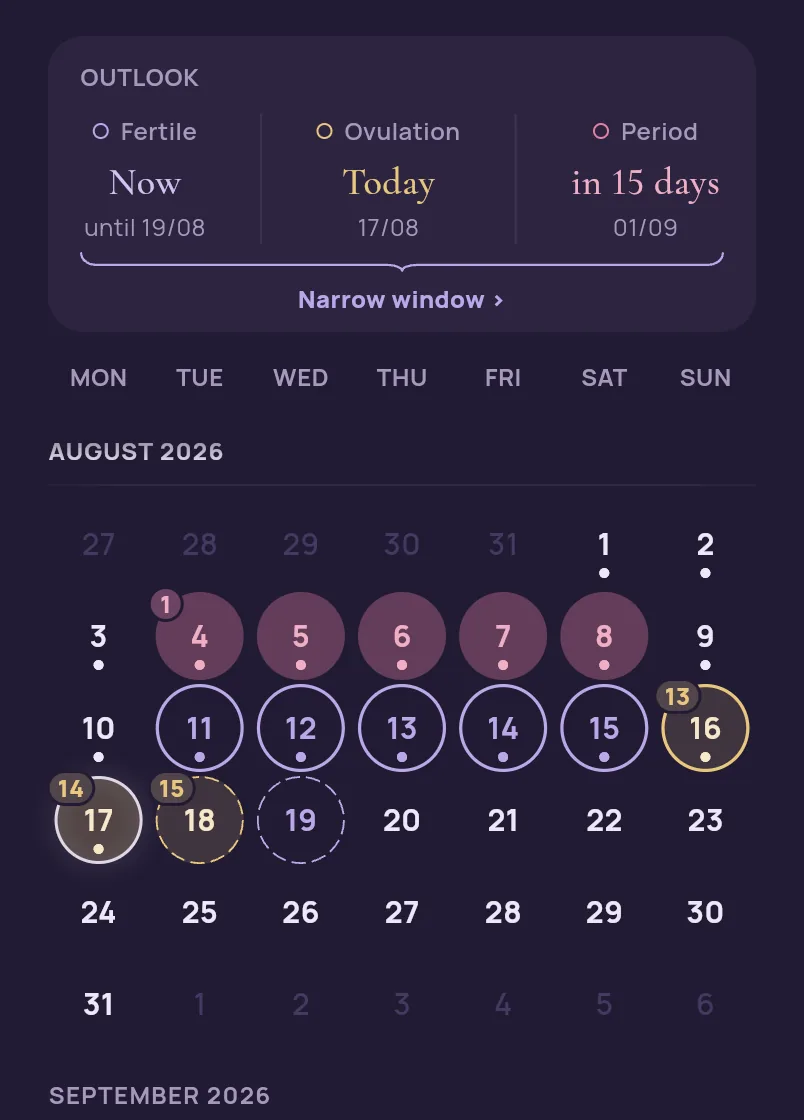 A detail of the app’s calendar on the day of ovulation, cycle day 14: the outlook card gives fertile now until 19 August, ovulation today on 17 August and the period in 15 days on 1 September.