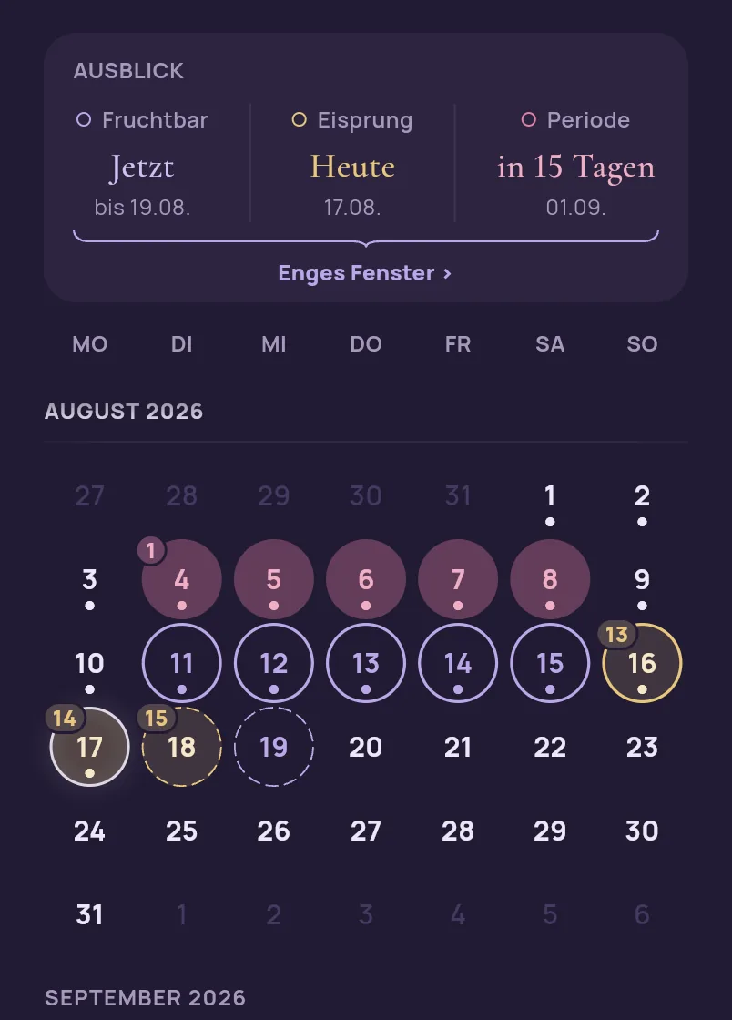 Ausschnitt aus dem Kalender der App am Tag des Eisprungs, Zyklustag 14: die Ausblick-Karte nennt Fruchtbar Jetzt bis 19.08., Eisprung Heute am 17.08. und Periode in 15 Tagen am 01.09.