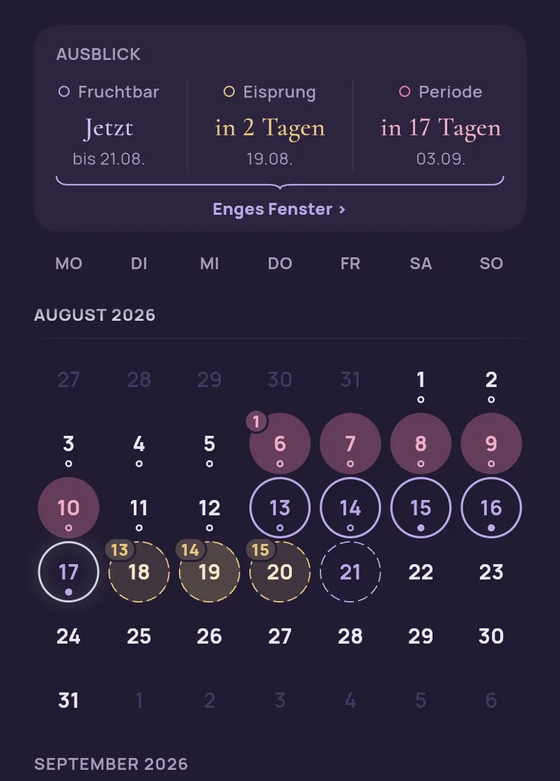 Ausschnitt aus dem Kalender der App am Zyklustag 12: die Ausblick-Karte nennt Fruchtbar Jetzt bis 21.08., Eisprung in 2 Tagen am 19.08. und Periode in 17 Tagen am 03.09. Die gemessenen Periodentage am Monatsanfang stehen satt gefüllt, das gerechnete fruchtbare Fenster hohl umrandet, das Eisprungband gestrichelt.
